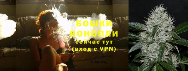 бошки Бородино