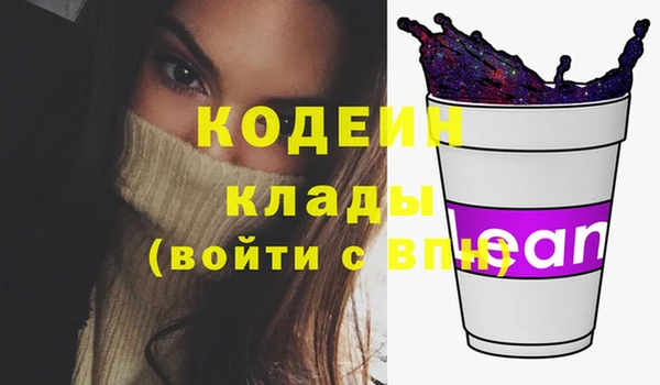 бошки Бородино