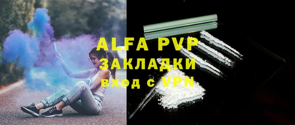 бошки Бородино