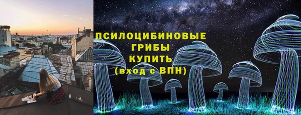 ГАЛЛЮЦИНОГЕННЫЕ ГРИБЫ Беломорск
