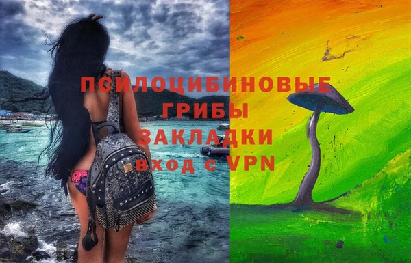 PSILOCYBIN Верхнеуральск