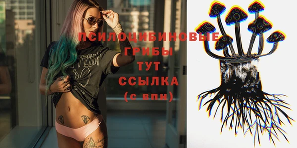 стафф Верхний Тагил