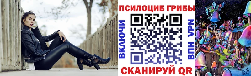 купить   Верхняя Пышма  Галлюциногенные грибы Cubensis 